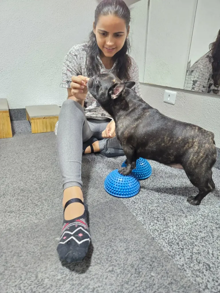 cinesioterapia-veterinaria-fisiopeterapia-recife
